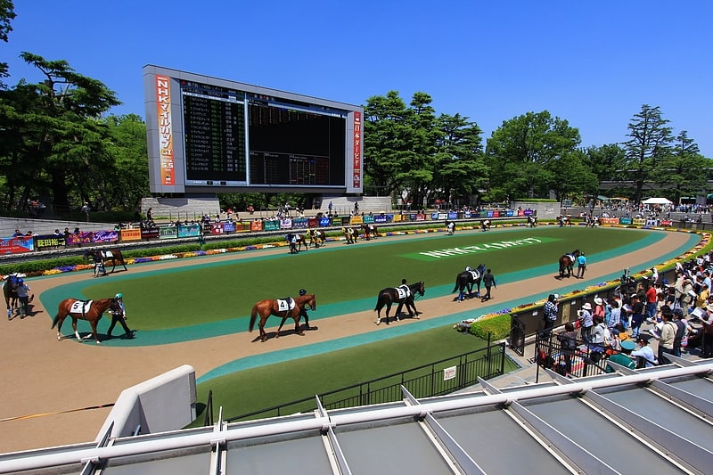 Racecourse in Fuchu, Japan