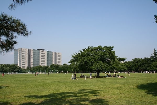 Park in Musashino, Japan