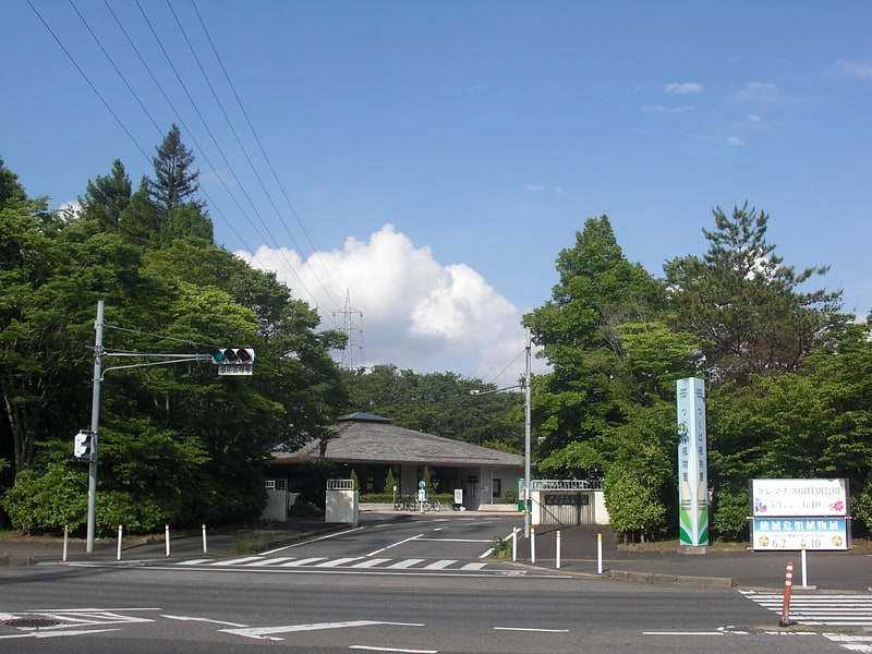 Jardín botánico en Tsukuba, Japón