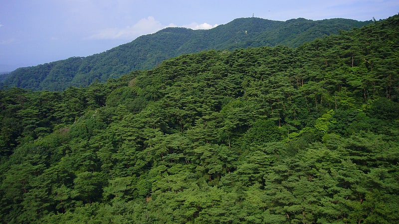 Mountain in Japan