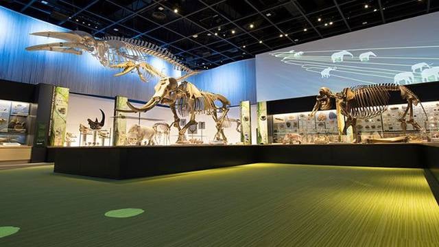 Toyohashi Museum of Natural History