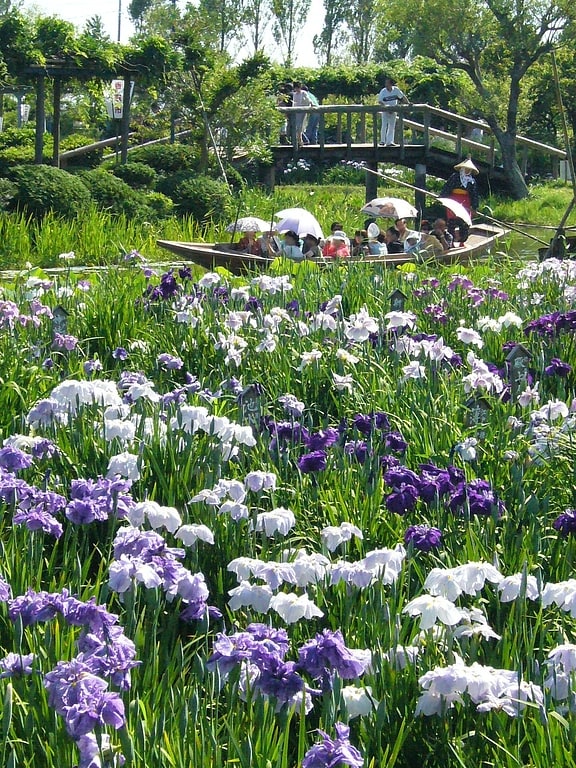 Jardín botánico acuático Suigō Sawara