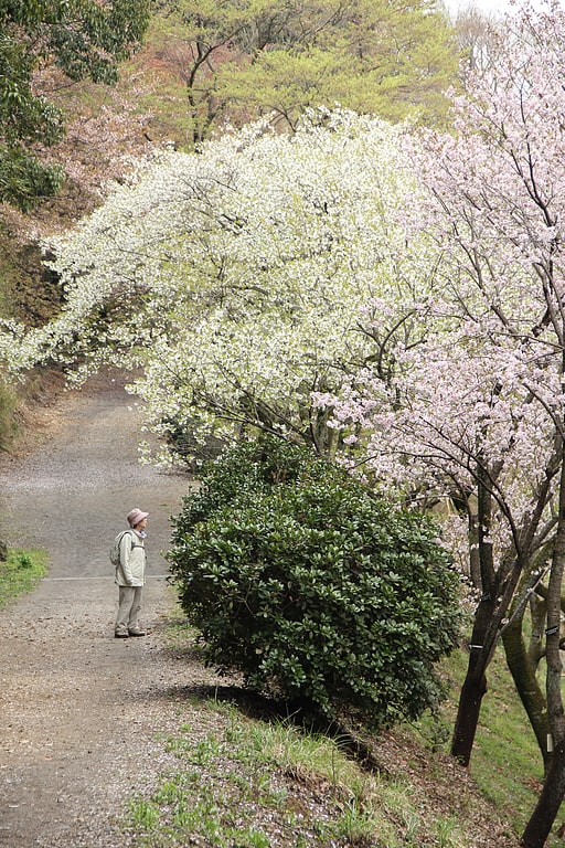 Botanical garden in Hachioji, Japan