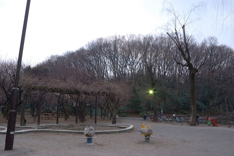 Park in the special wards of Tokyo, Japan