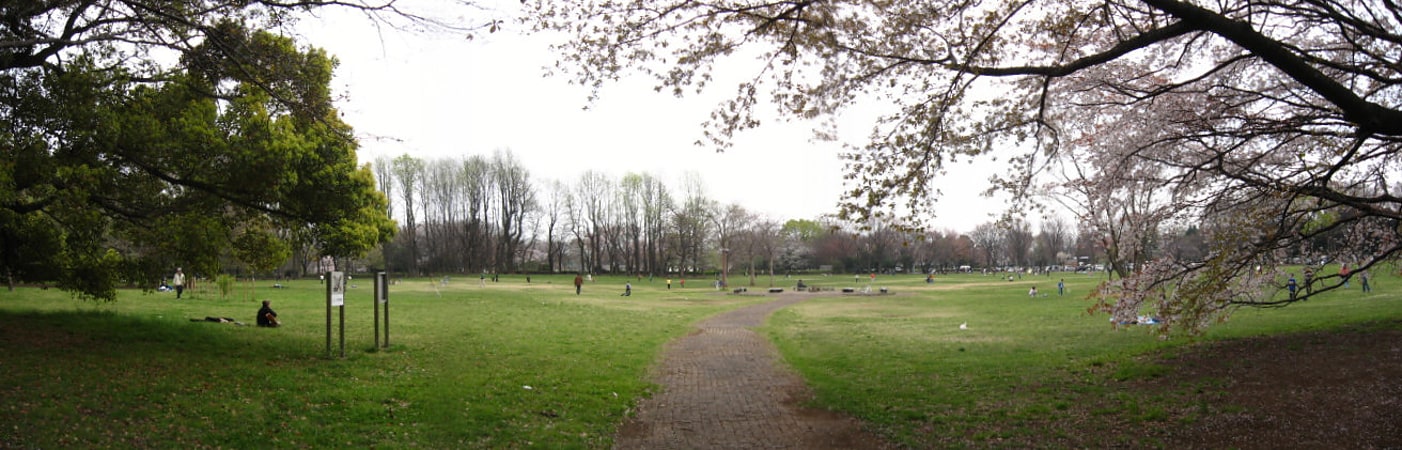Park w Koganei