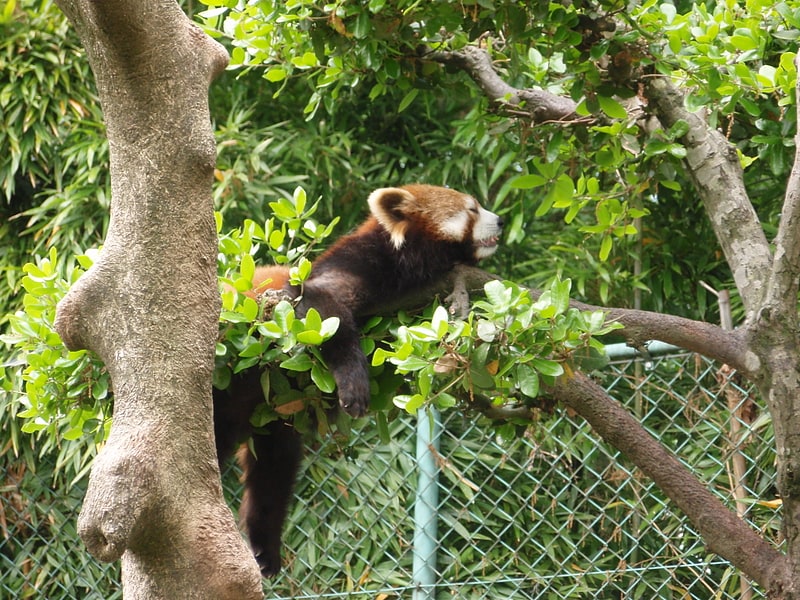Zoo in Sabae, Japan