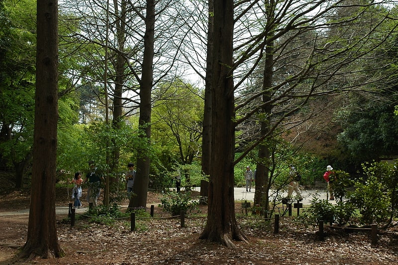 Botanical garden in Kobe, Japan