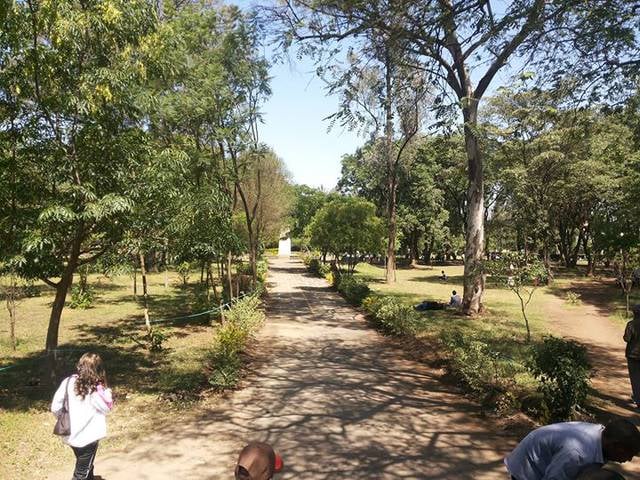 Nyayo Gardens