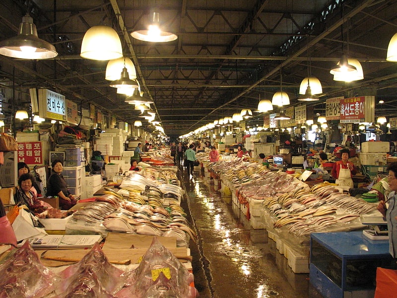 Seafood market in Seoul, South Korea
