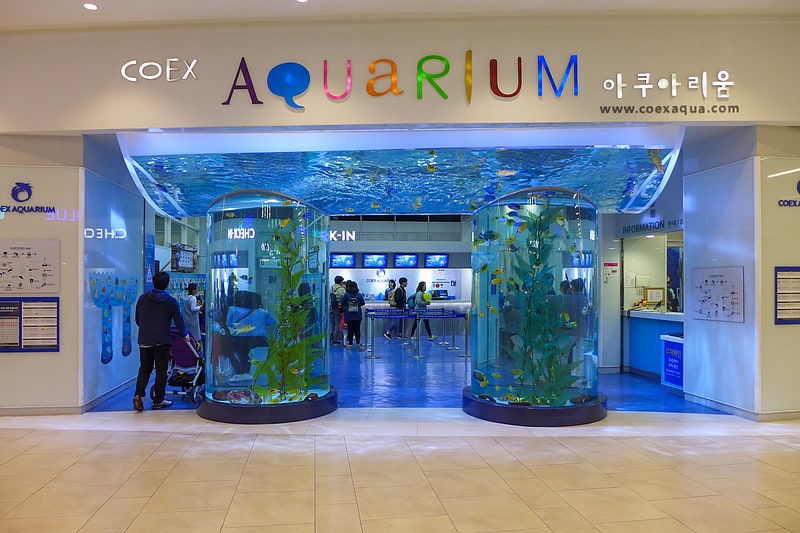 Aquarium in Seoul, South Korea