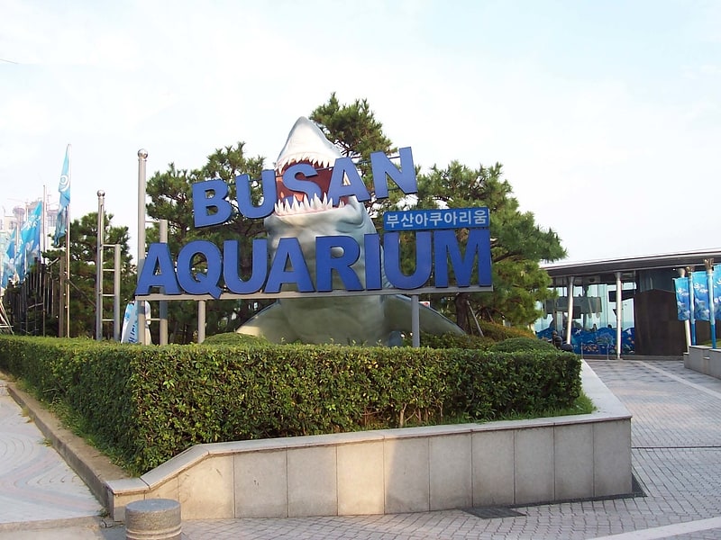 Aquarium in Busan, South Korea
