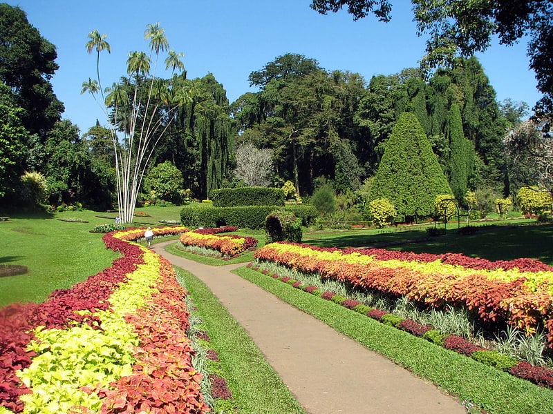 Botanical garden in Kandy, Sri Lanka