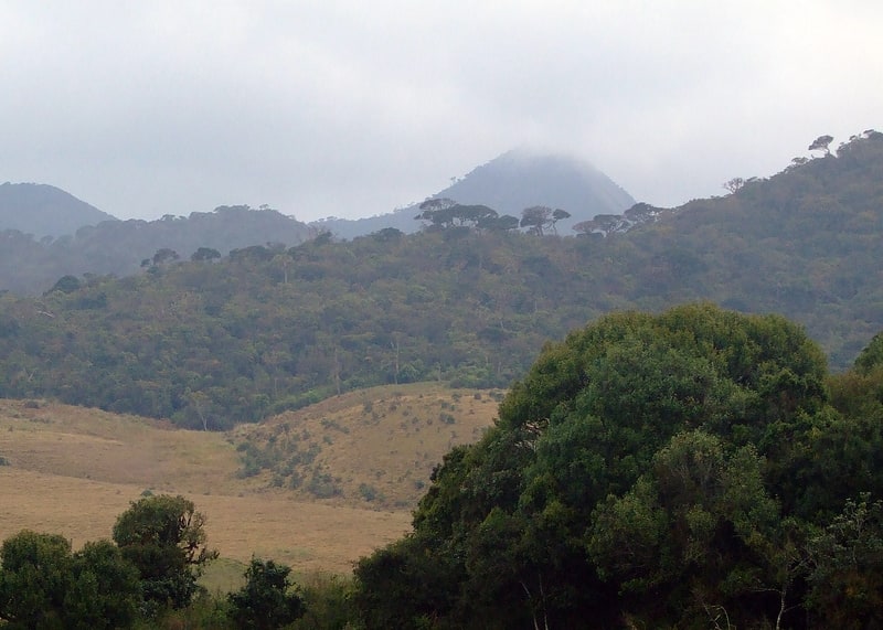 Mountain in Sri Lanka