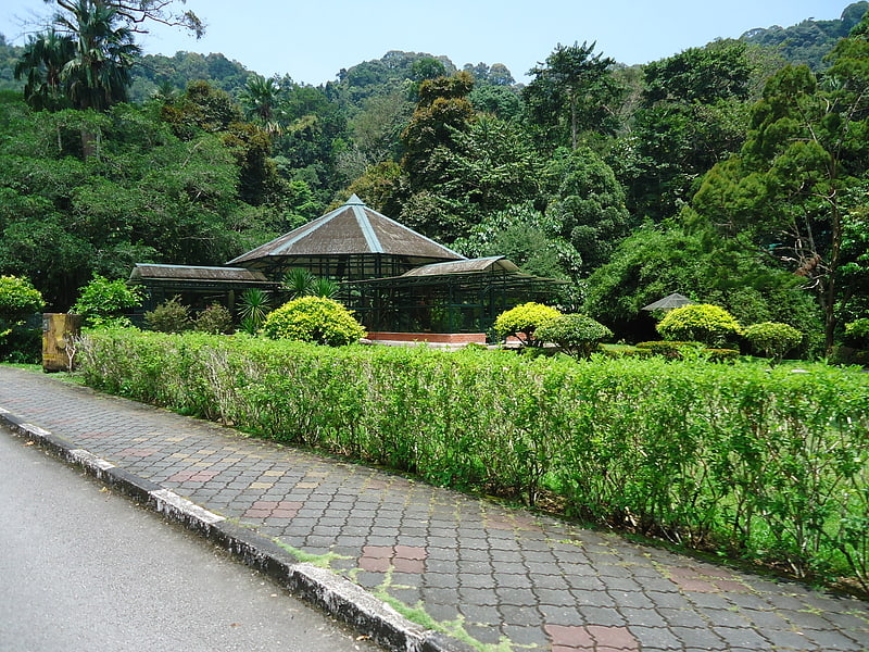 Botanical garden in George Town, Malaysia