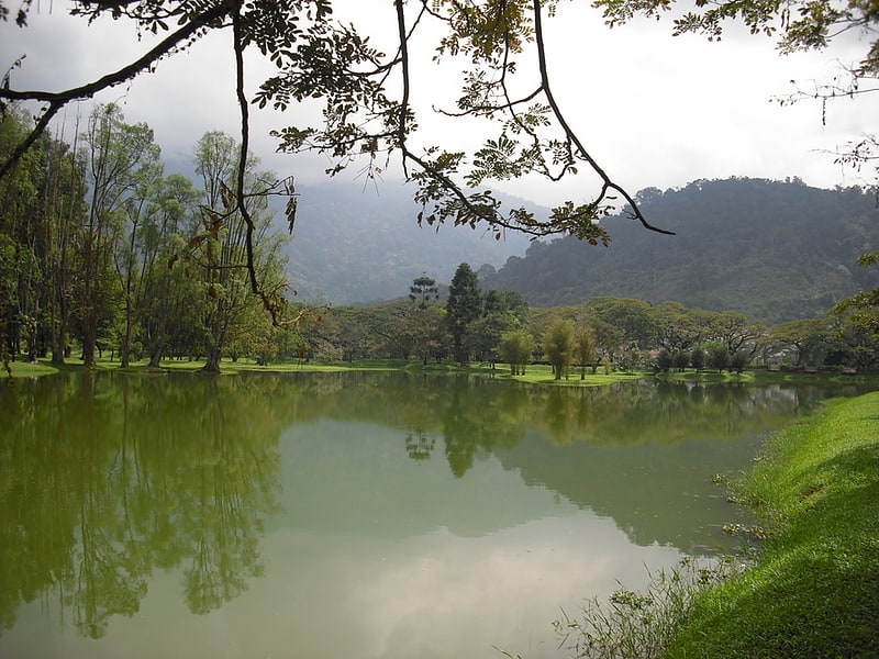 Taiping Lake Gardens
