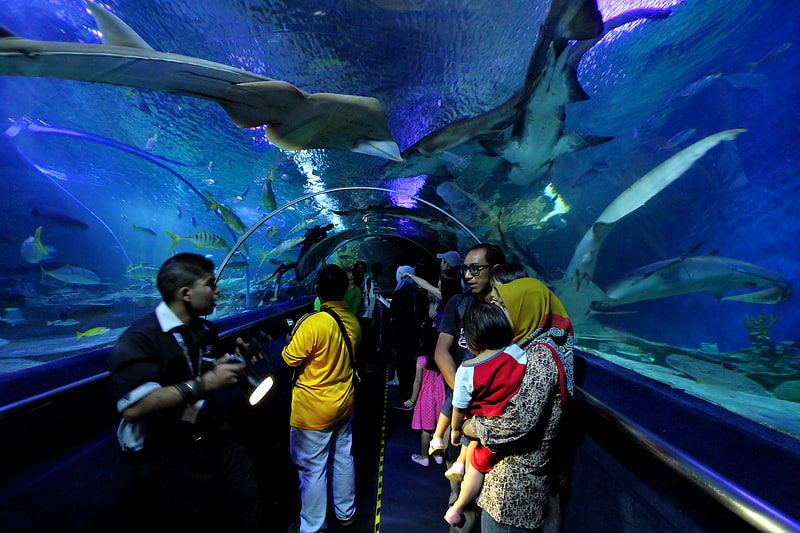 Großes Aquarium mit Haien und einem Tunnel