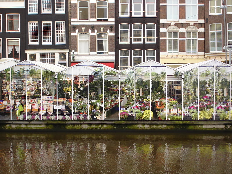 Markt in Amsterdam, Niederlande