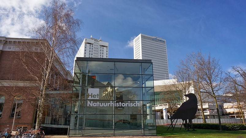 Museum in Rotterdam, Niederlande
