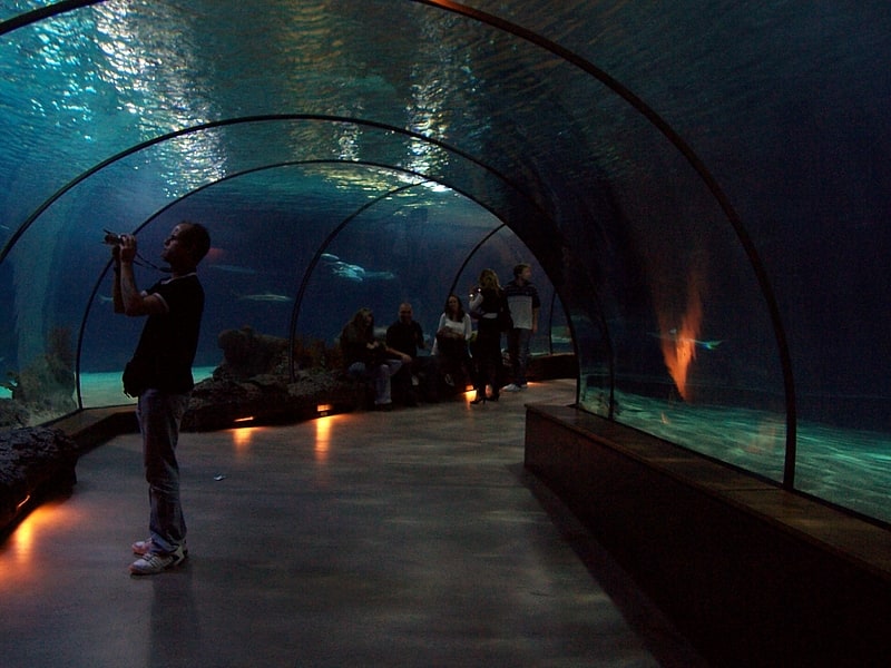 Aquarium in Rotterdam, Netherlands