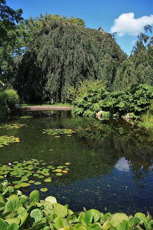 Botanical garden in Leiden, Netherlands