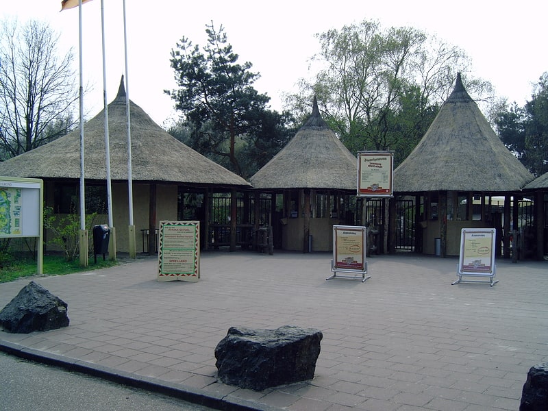Zoo w Hilvarenbeek, Holandia