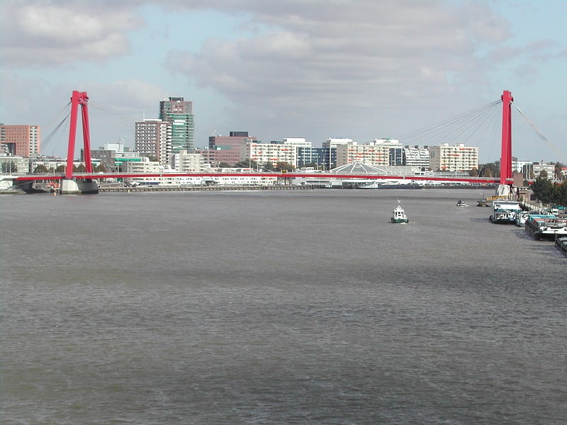 Cable-stayed bridge in Rotterdam, Netherlands
