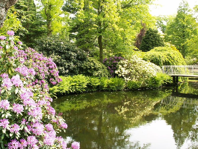 Botanical garden in Rotterdam, Netherlands