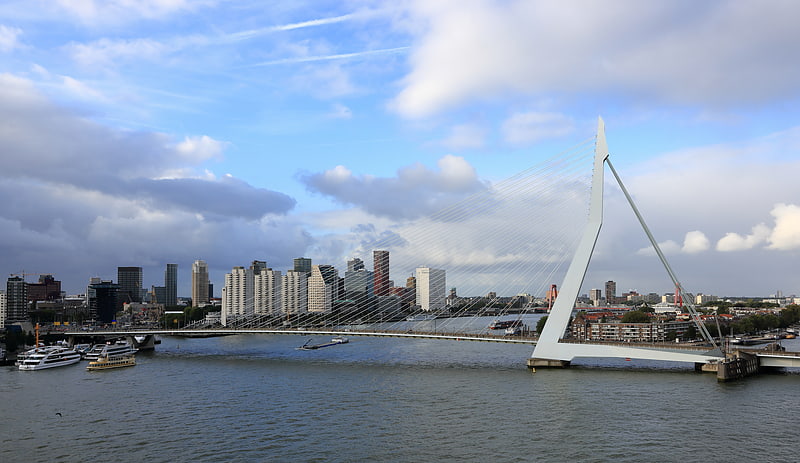 Cable-stayed bridge in Rotterdam, Netherlands