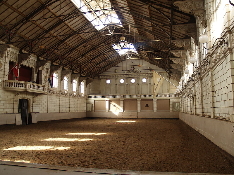 Horse riding school in Amsterdam, Netherlands