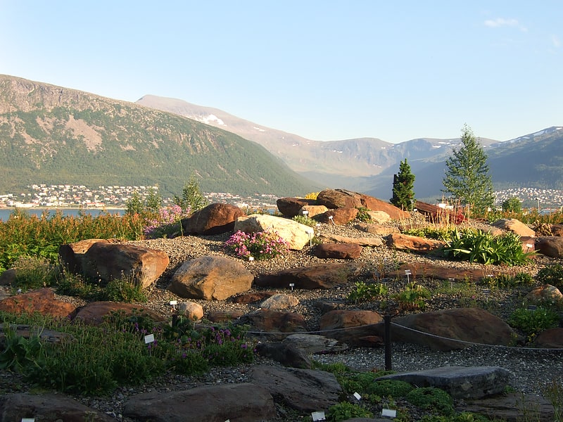 Botanical garden in Tromsø