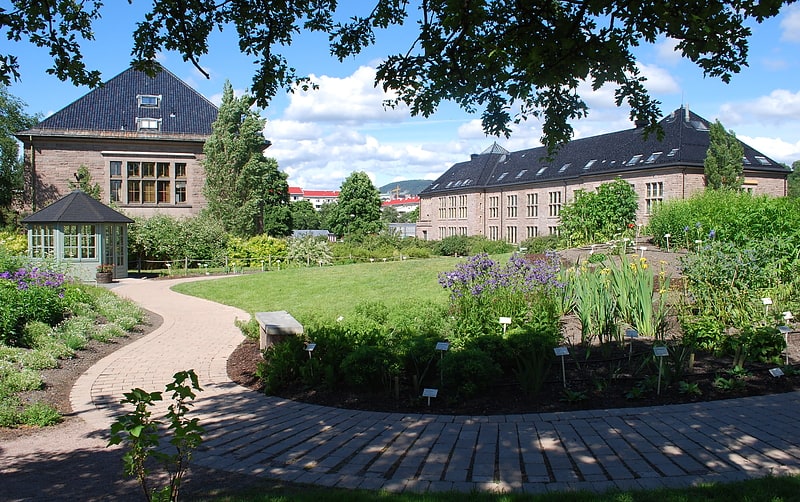 Jardin botanique à Oslo, Norvège