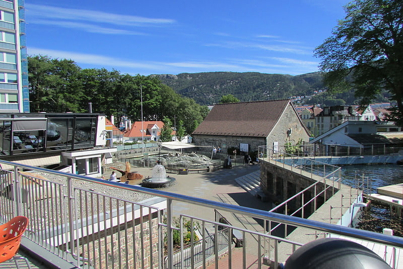Acuario en Bergen, Noruega