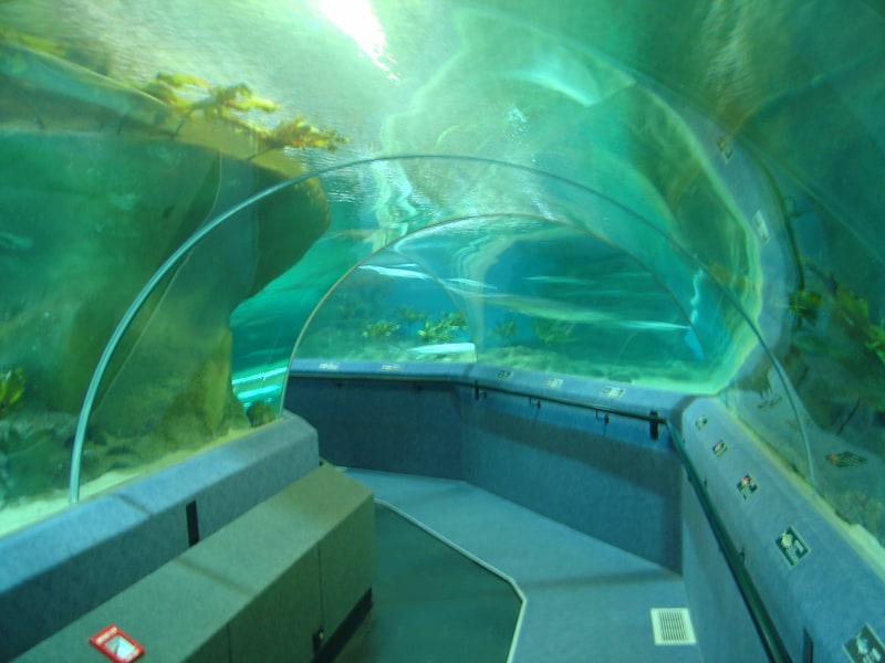 Aquarium in Napier, New Zealand
