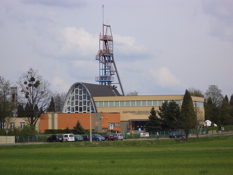 Muzeum w Tarnowskich Górach, Polska