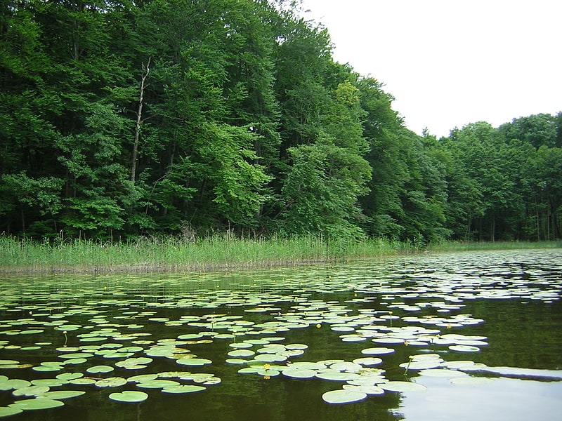 Parc naturel des lacs d'Iława