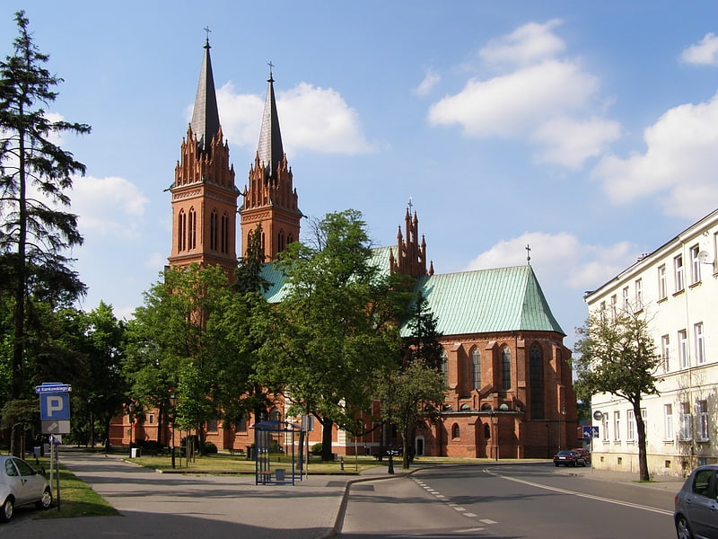 Katedra we Włocławku, Polska