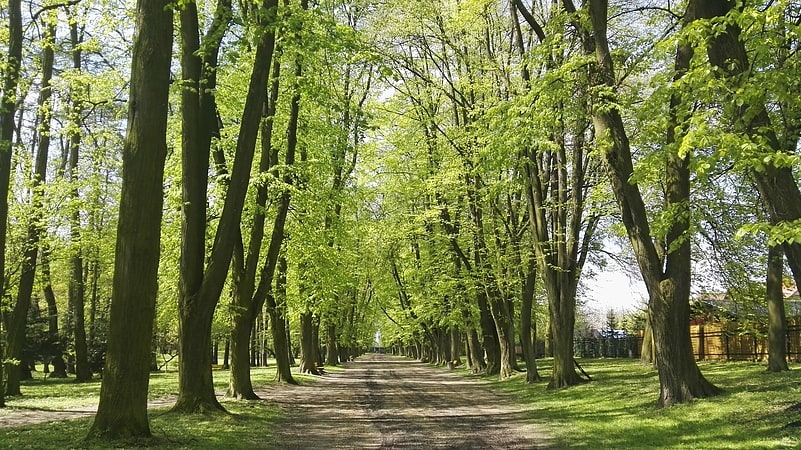 Park w Jarosławiu, Polska