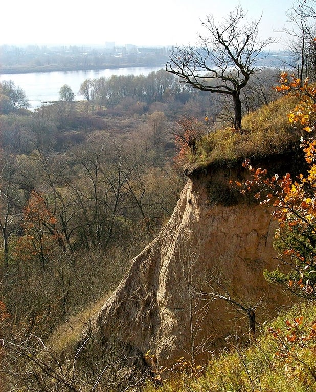 Rezerwat przyrody we Włocławku, Polska