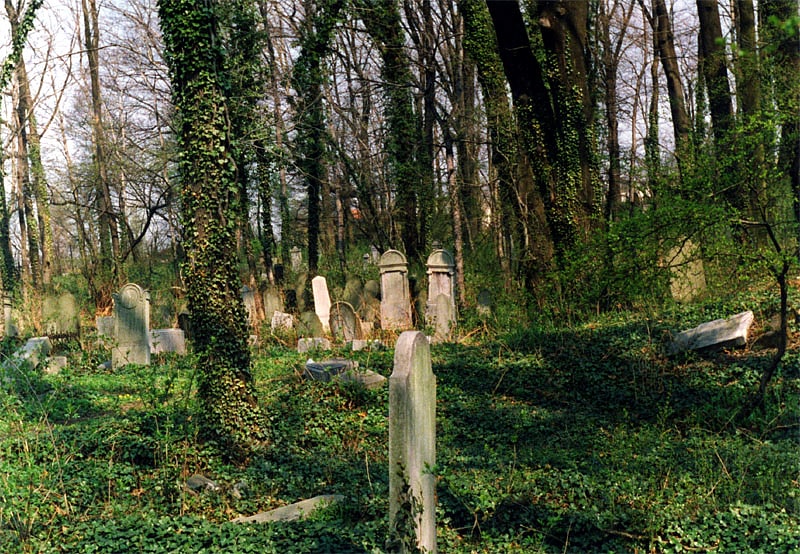 Cemetery in Cieszyn, Poland