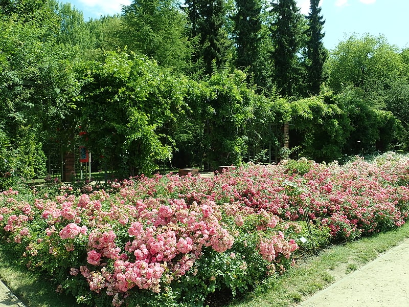 Botanical garden in Szczecin, Poland