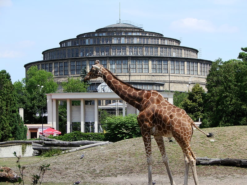 Zoological garden in Wrocław, Poland