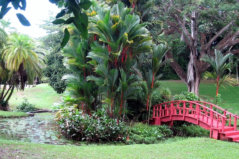Botanical garden in San Juan, Puerto Rico