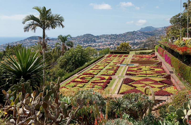 Botanical garden in Funchal, Portugal