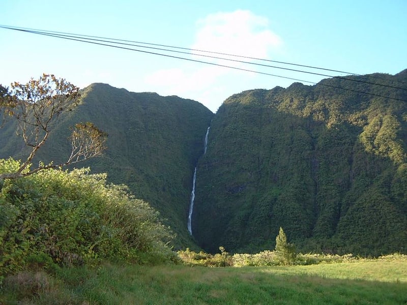 Point de vue à la Plaine-des-Palmistes, La Réunion