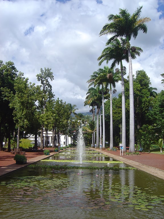 Jardin à Saint-Denis, La Réunion