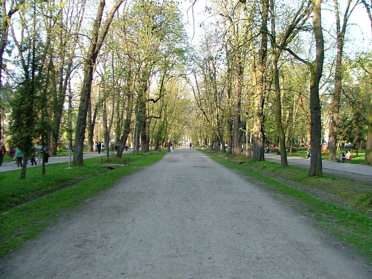 Park in Cluj-Napoca, Romania
