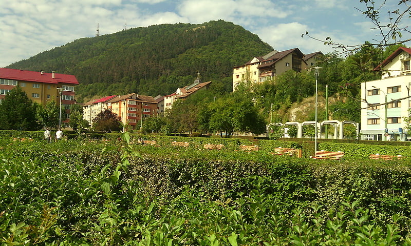 Montaña escénica con senderos y vistas a la ciudad