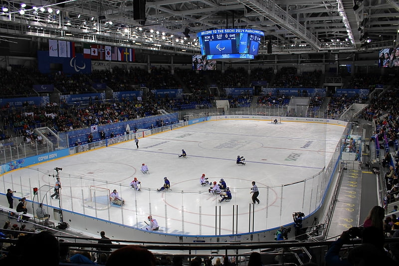 Arena w Rosji