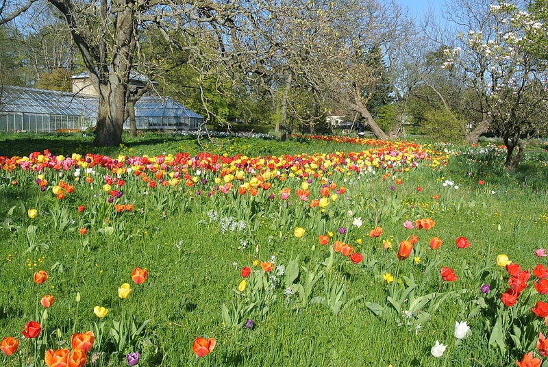 Botanical garden in Lund, Sweden