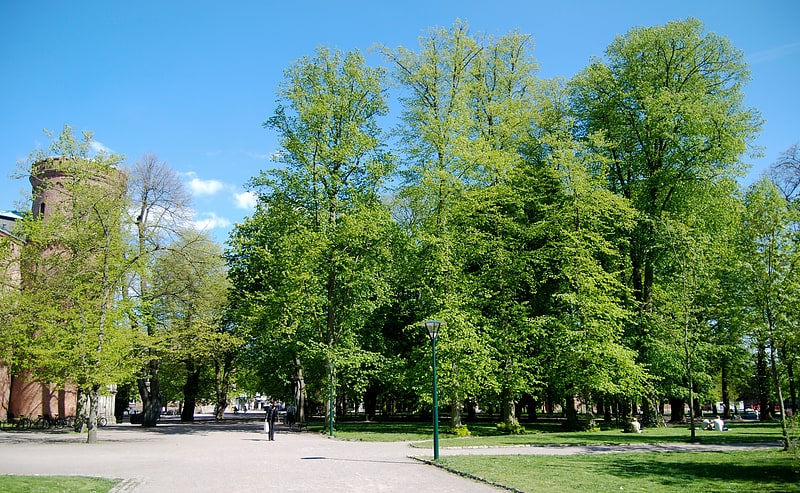 Ruhiger Park mit schattigen Bäumen und Bänken